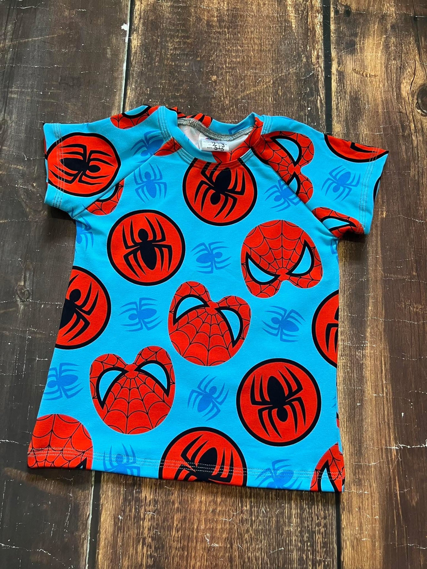 Spider Symbol Raglan