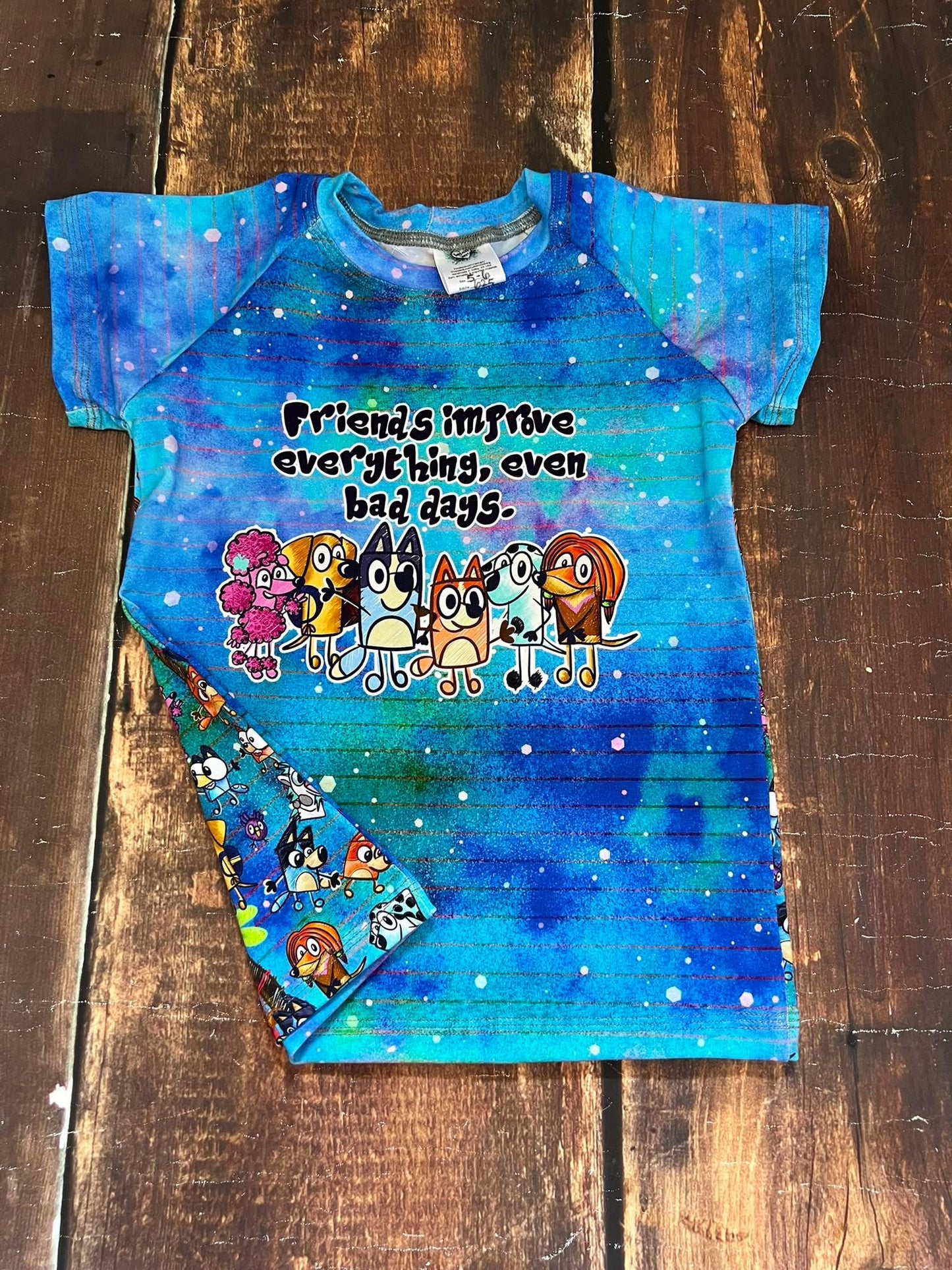 Friends Blue Heelers Raglan