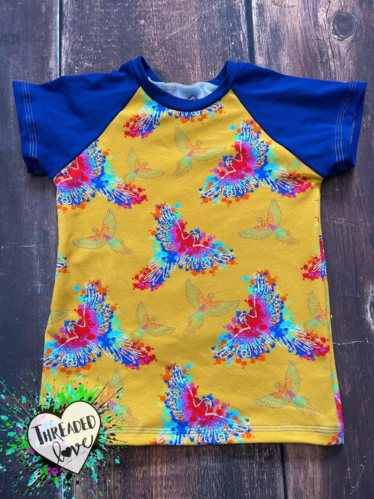 5/6 Macaw Raglan