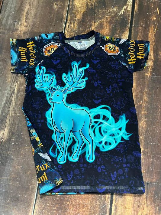 10/12 Spirit Stag Wizard Raglan