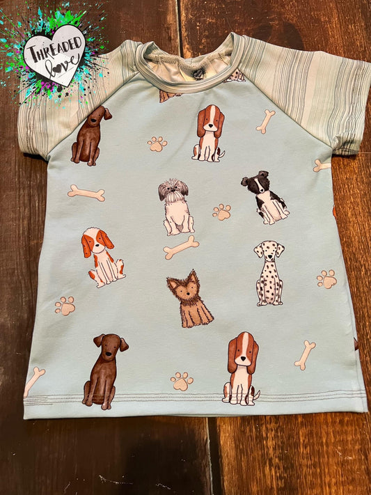 2/3 Light Blue Dog Raglan